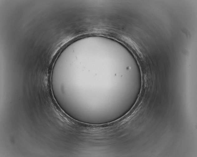 X0000111851260200908061307