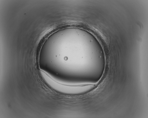 X0000111851261200908061307