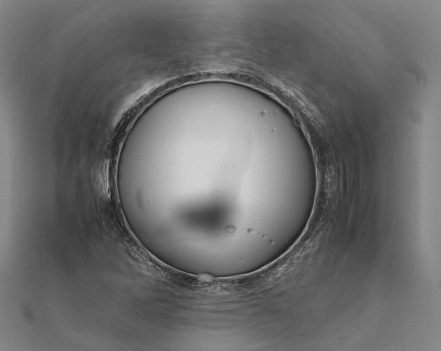 X0000111851262200908061307