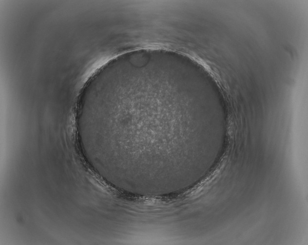 X0000111851263200908061307