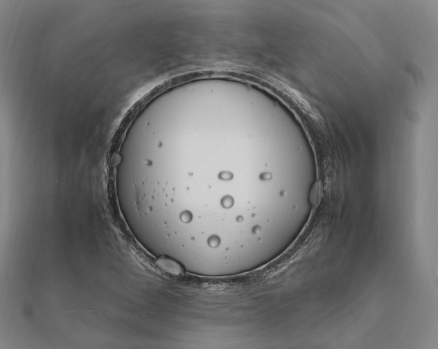 X0000111851264200908061307