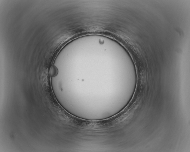 X0000111851265200908061307