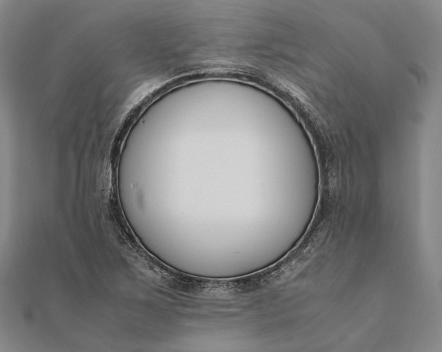 X0000111851267200908061307