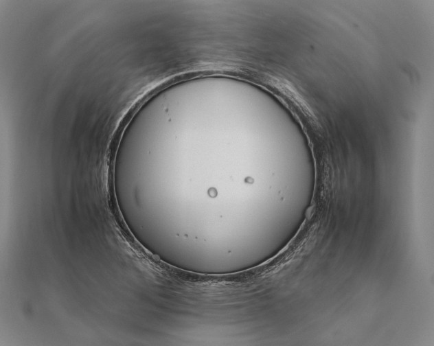 X0000111851268200908061307