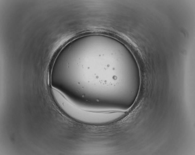 X0000111851269200908061307