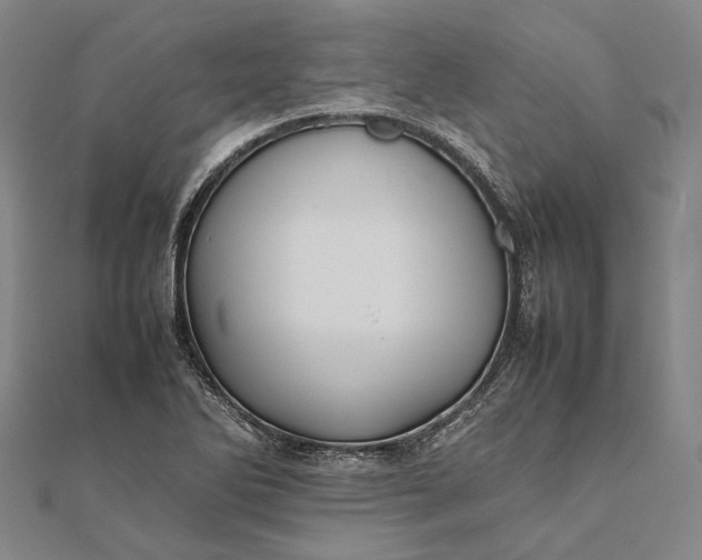 X0000111851270200908061306