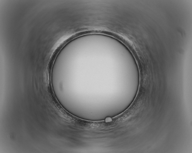 X0000111851271200908061306