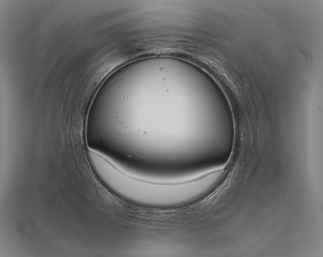 X0000111851273200908061306