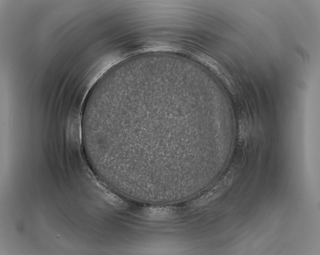 X0000111851274200908061306