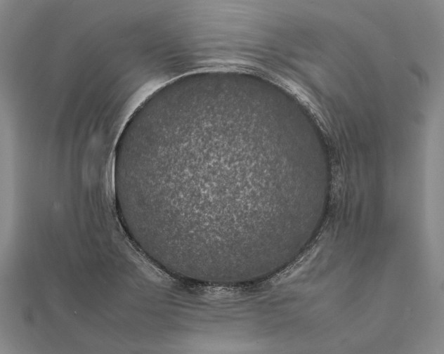 X0000111851275200908061306