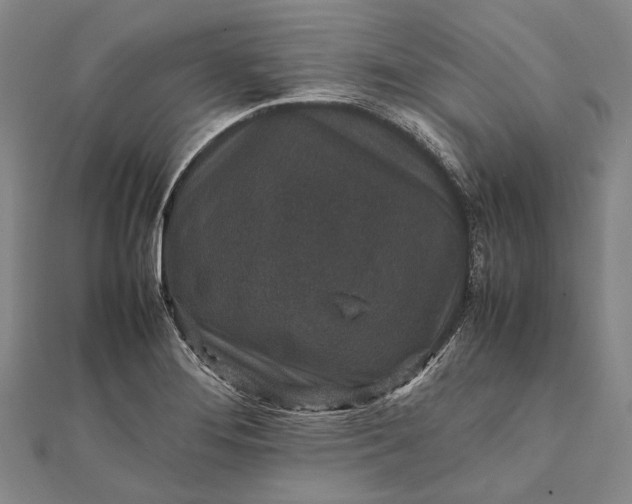 X0000111851276200908061306