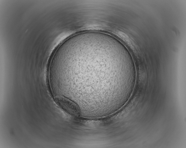 X0000111851277200908061306