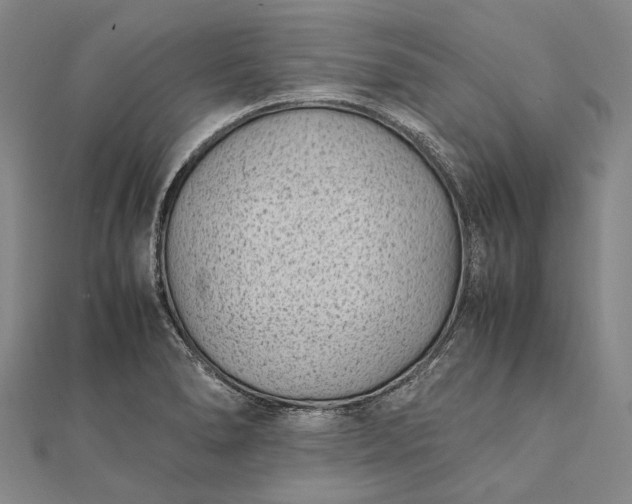 X0000111851278200908061306