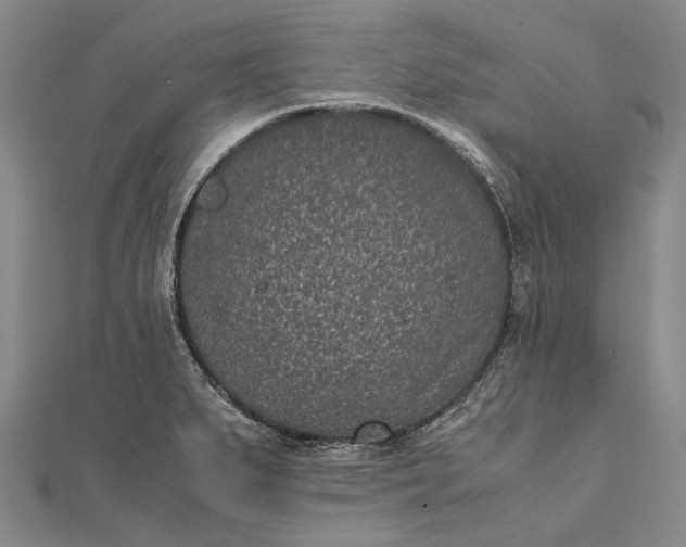 X0000111851279200908061306