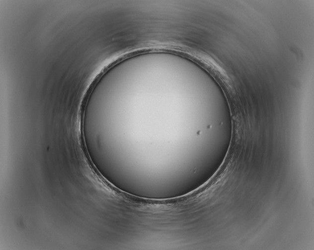 X0000111851280200908061306