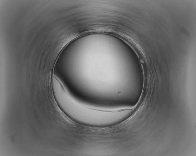 X0000111851281200908061306