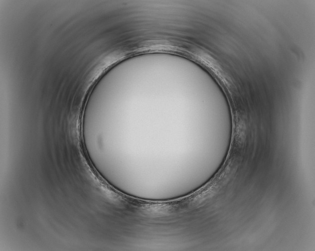 X0000111851282200908061306