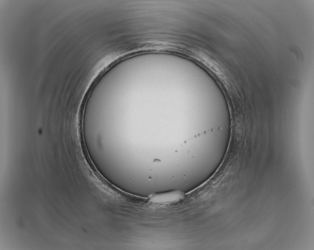 X0000111851283200908061306