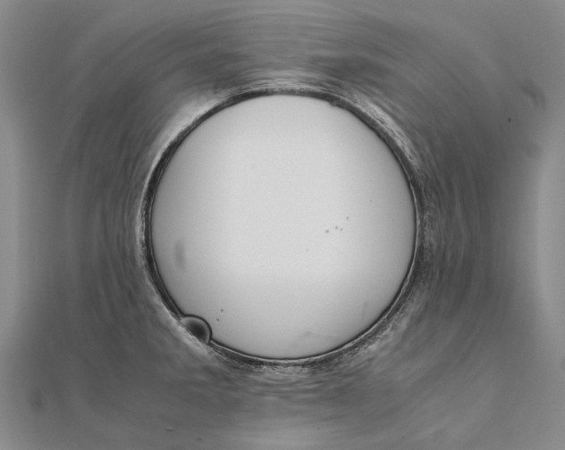 X0000111851285200908061306