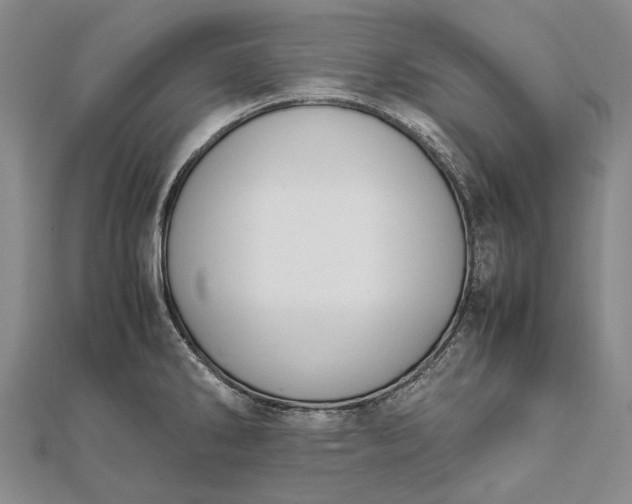 X0000111851286200908061306