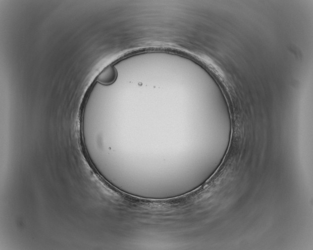 X0000111851287200908061306