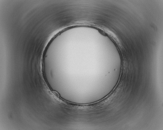 X0000111851288200908061306