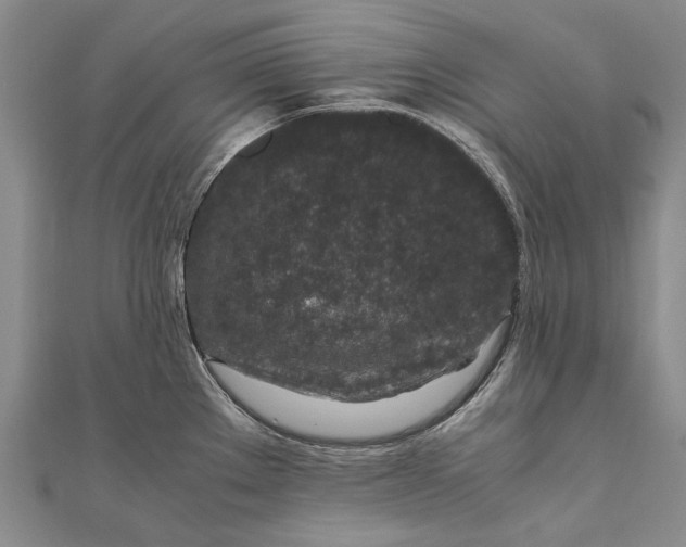 X0000111851289200908061306