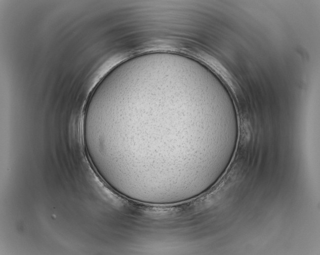 X0000111851290200908061306