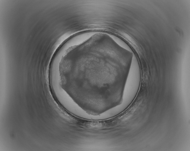 X0000111851291200908061306