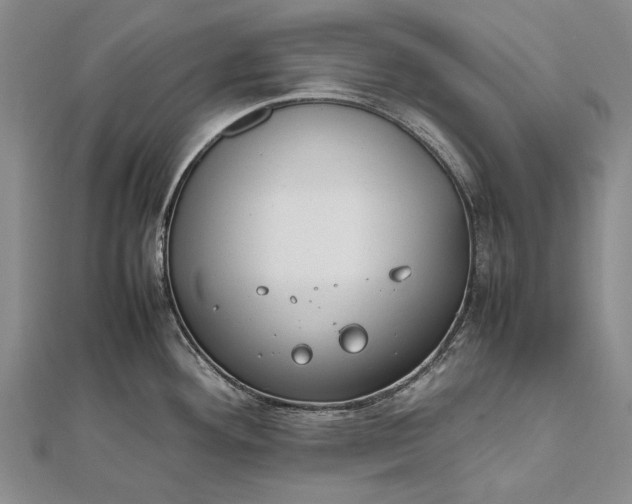 X0000111851292200908061306