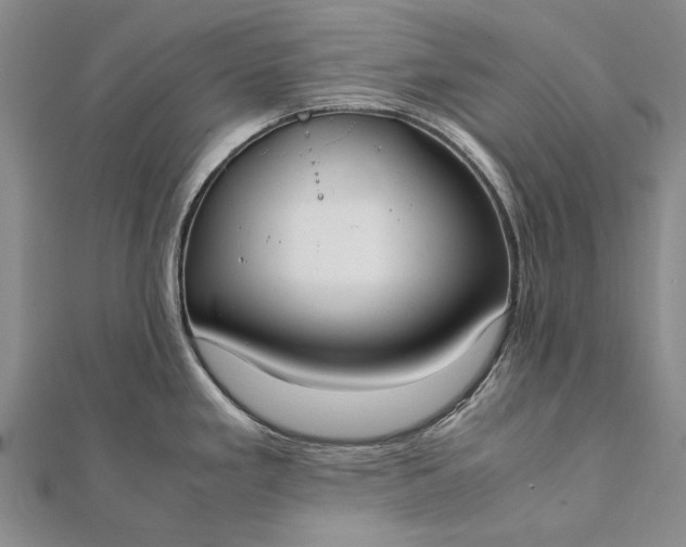 X0000111851293200908061306