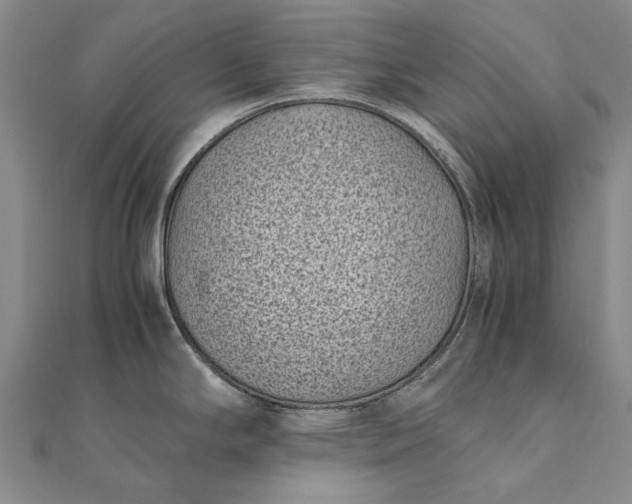 X0000111851294200908061306