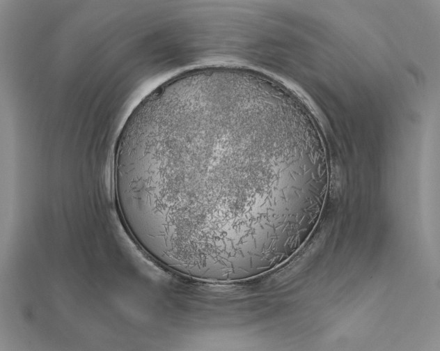 X0000111851295200908061306