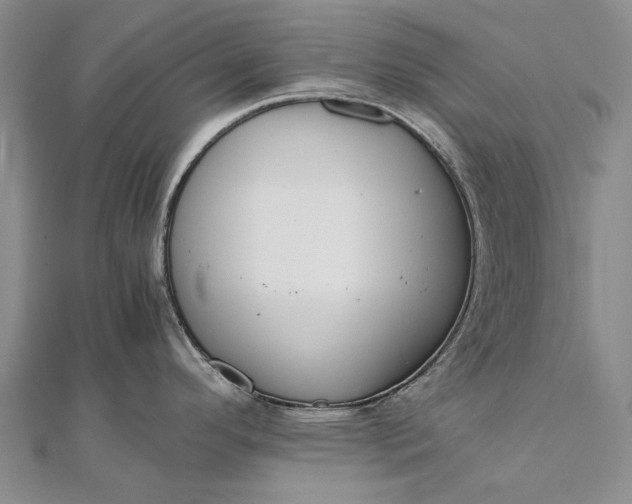 X0000111851296200908061306