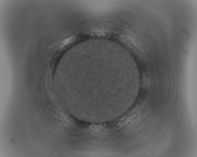 X0000111851297200908061306