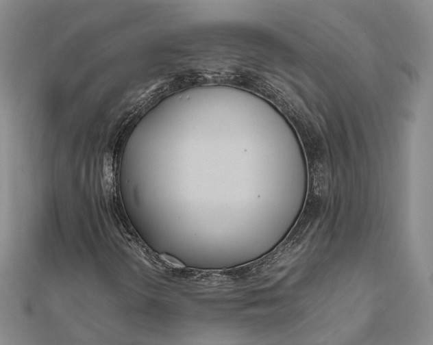 X0000111851298200908061306