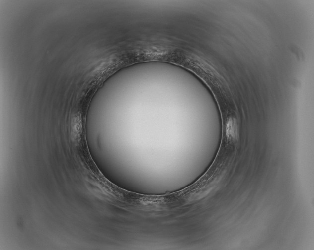 X0000111851299200908061306