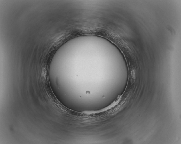 X0000111851300200908061306