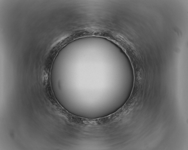 X0000111851302200908061306