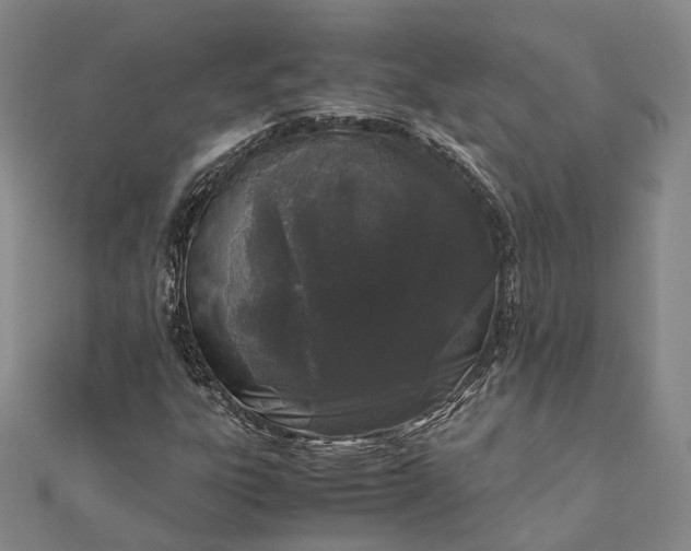 X0000111851303200908061306