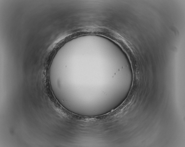 X0000111851304200908061306