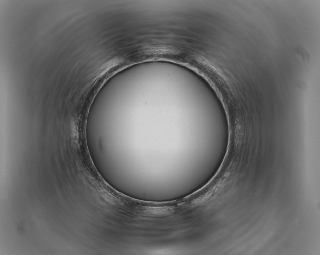 X0000111851305200908061306