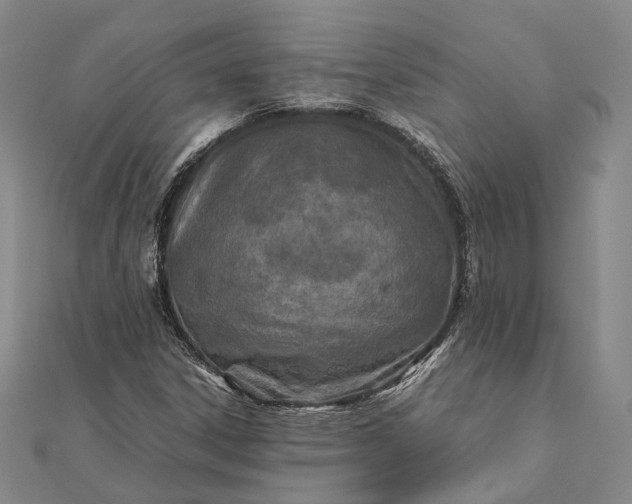 X0000111851306200908061306