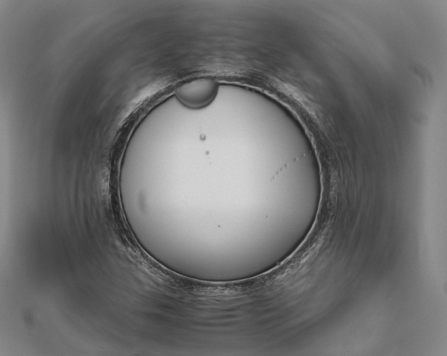 X0000111851307200908061306