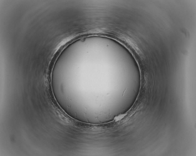 X0000111851308200908061306