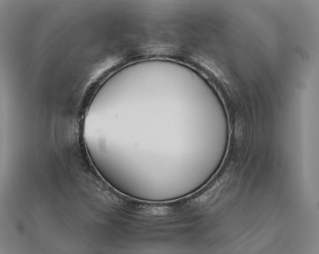 X0000111851309200908061306