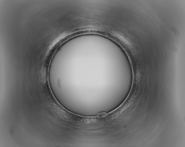 X0000111851310200908061306