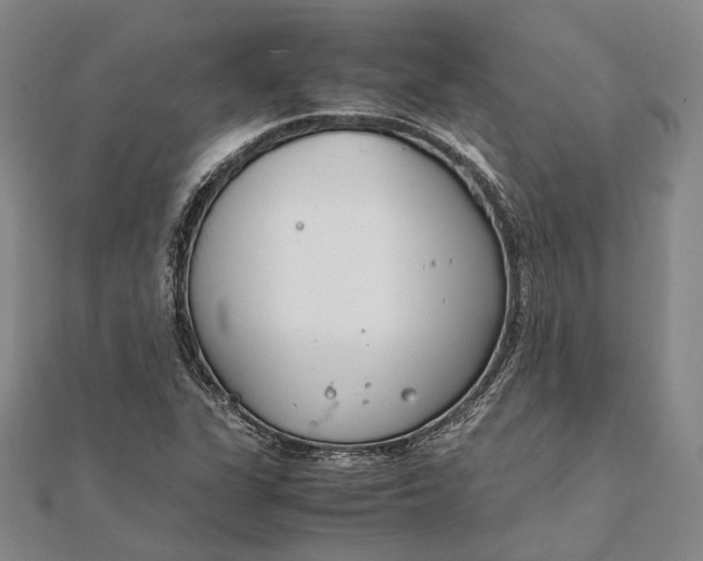 X0000111851311200908061306