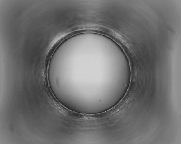 X0000111851312200908061306