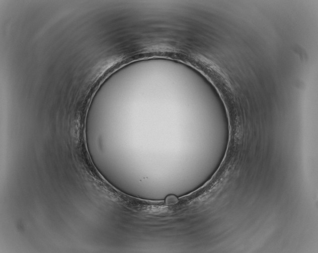 X0000111851313200908061306